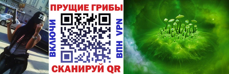 Купить  Белоозёрский  Псилоцибиновые грибы прущие грибы 