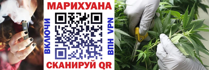 Купить где  Белоозёрский  Бошки Шишки гибрид 